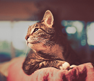 測繪CAD丨批量標注坐標，你不需要嗎？